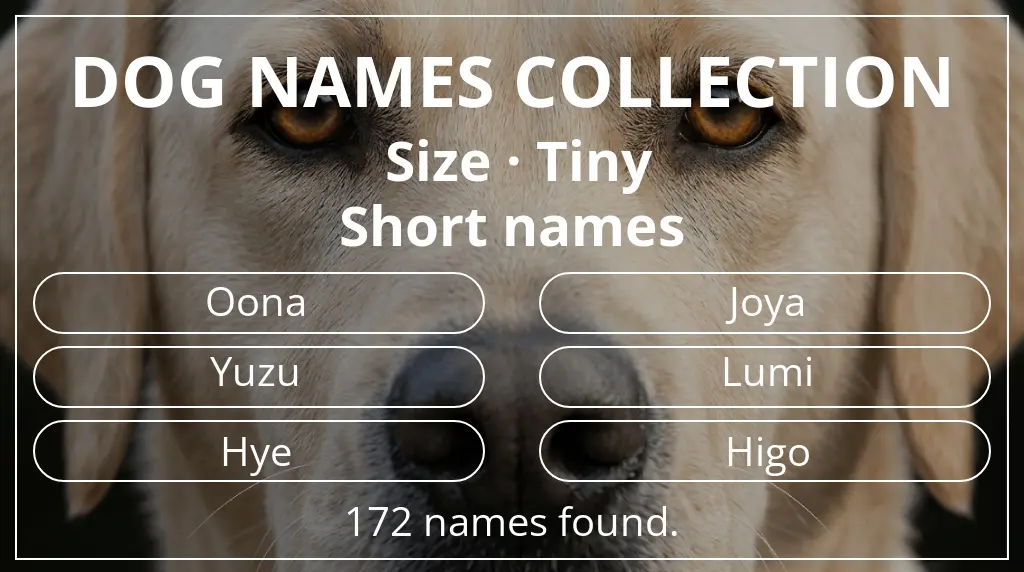 Dog names inspired by tiny size and short (2–4) name length