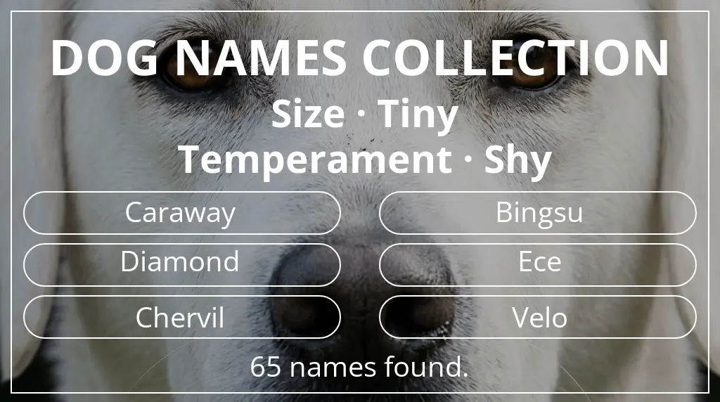 Names for dogs based on tiny size and shy temperament