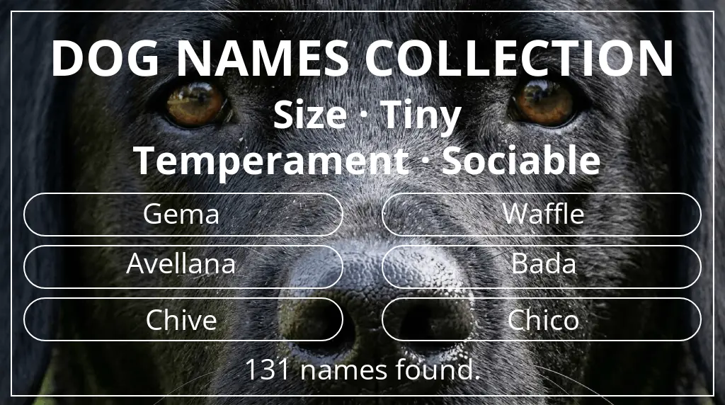 Names for dogs based on tiny size and sociable temperament