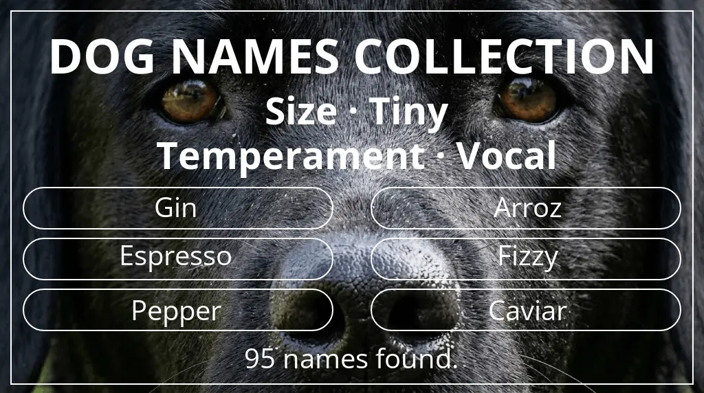 Dog names inspired by tiny size and vocal temperament