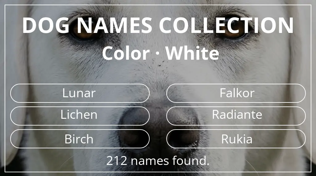 Dog names inspired by white color