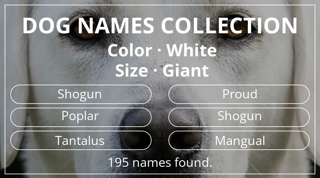 Names for dogs based on white color and giant size