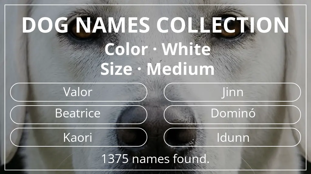 Dog names based on white color and medium size
