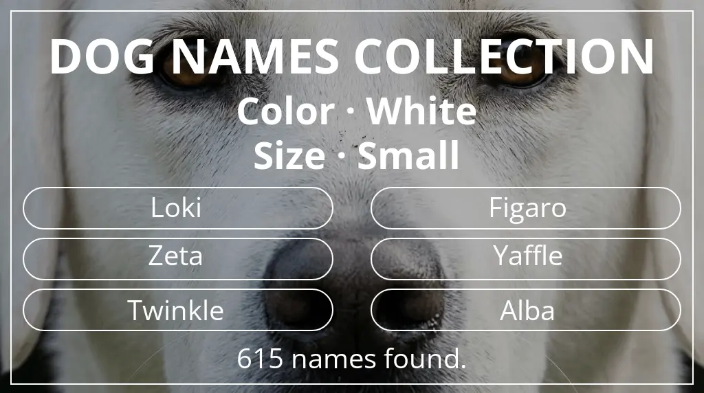 Names for dogs based on white color and small size