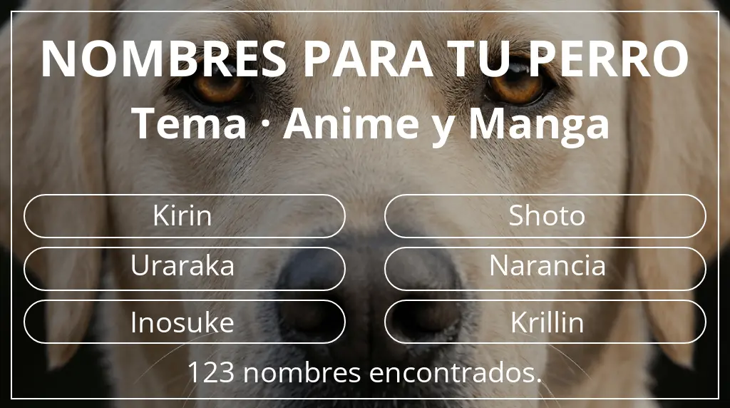 Nombres para perro basados en tema anime y manga