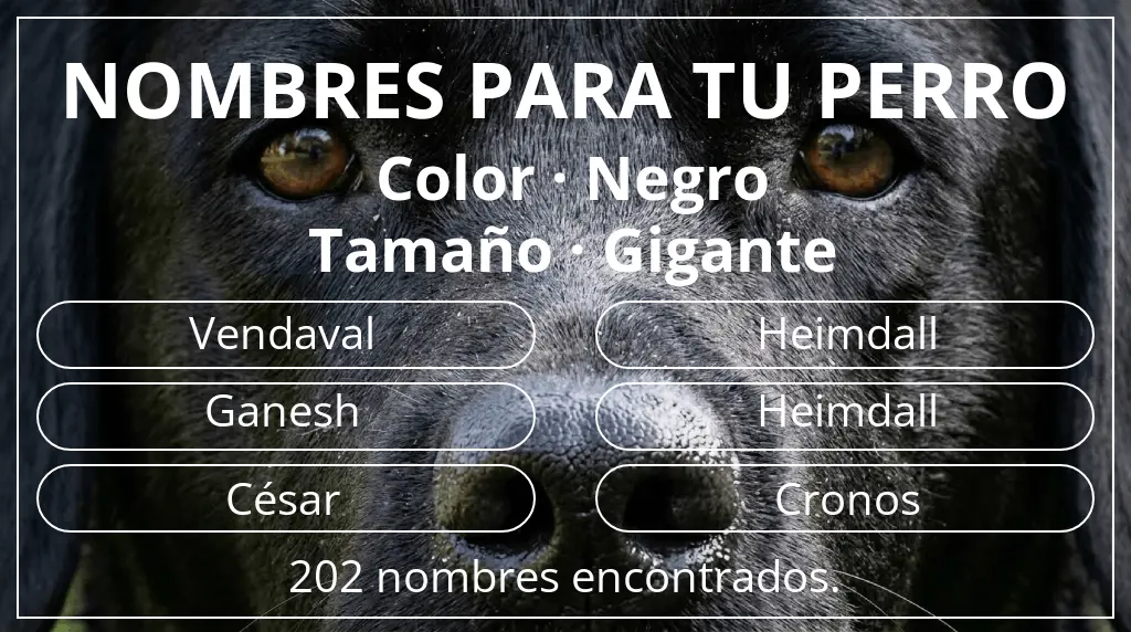 Nombres para perro basados en color negro y tamaño gigante