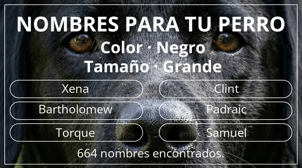 Nombres para perro basados en color negro y tamaño grande