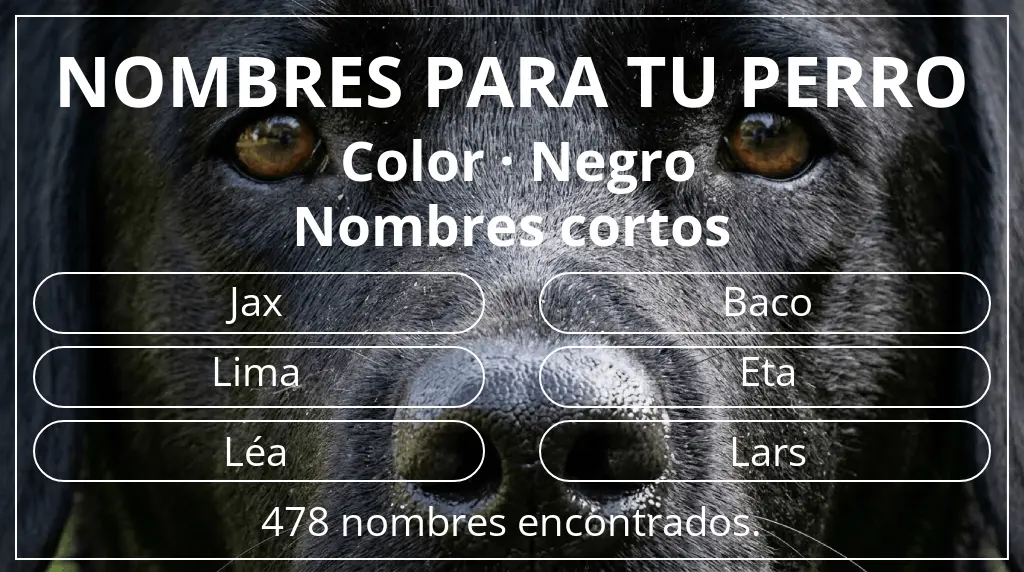 Nombres de perro basados en color negro y longitud del nombre corto (2-4)