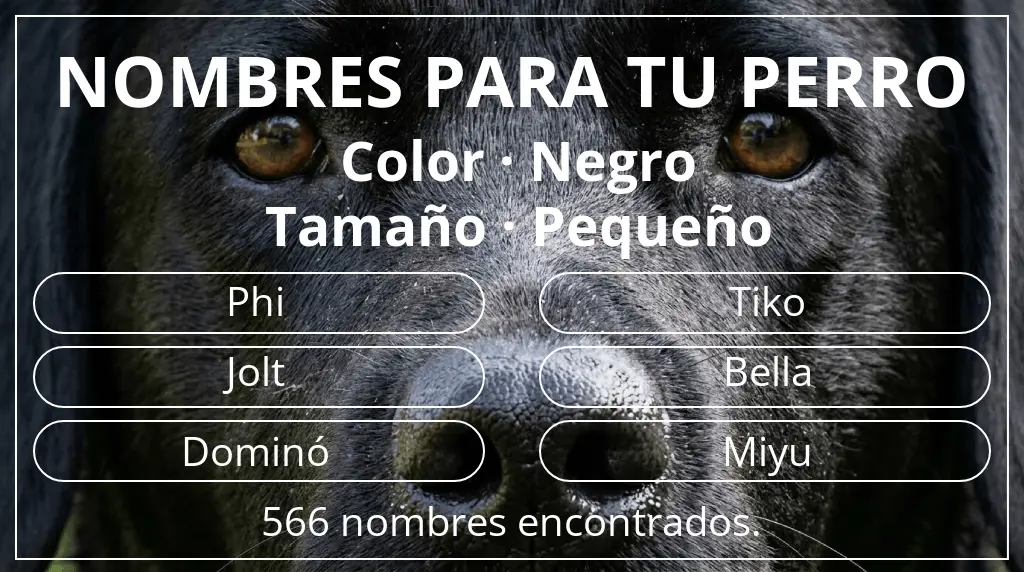 Nombres de perro inspirados en color negro y tamaño pequeño
