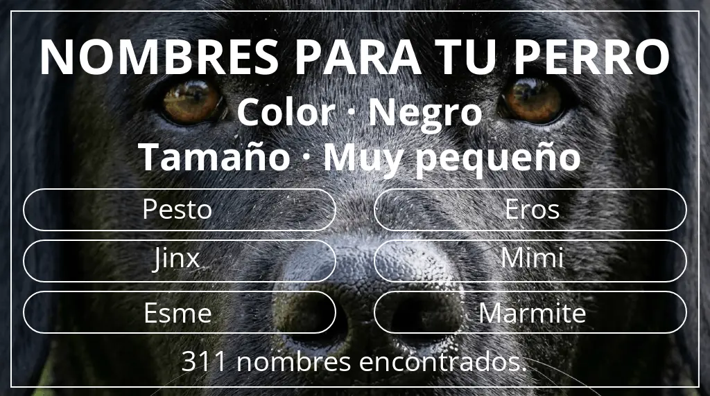 Nombres de perro basados en color negro y tamaño muy pequeño
