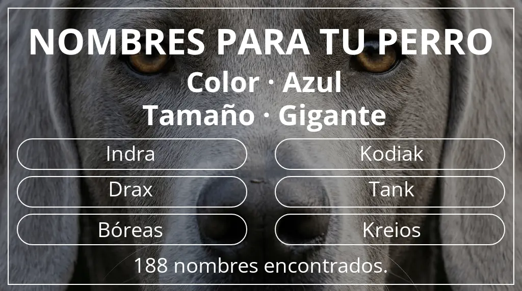 Nombres para perro inspirados en color azul y tamaño gigante