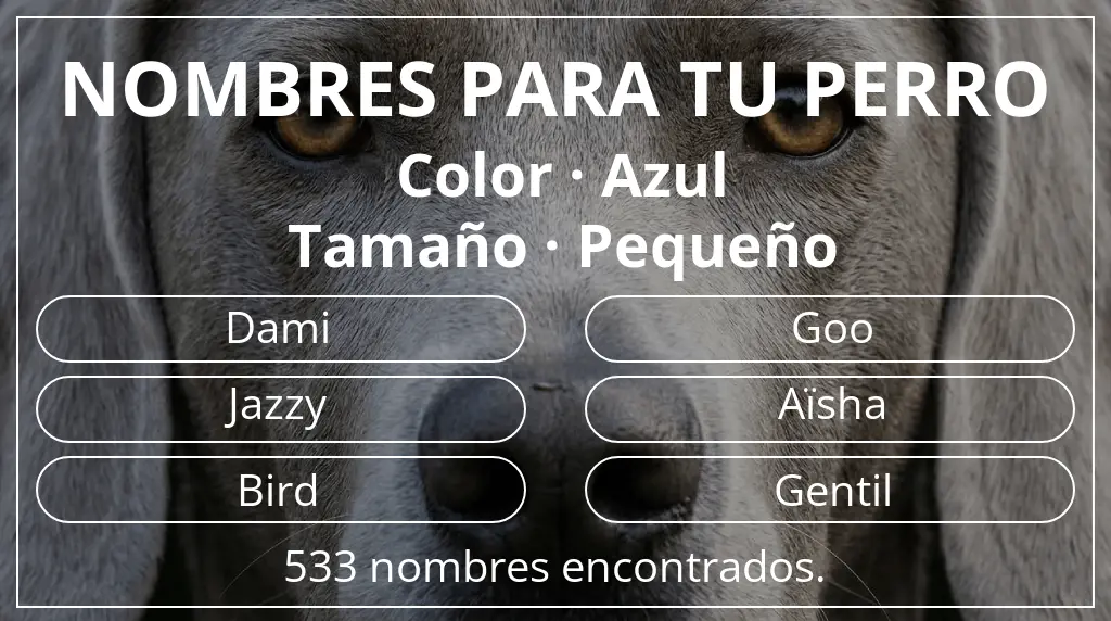 Nombres para perro inspirados en color azul y tamaño pequeño