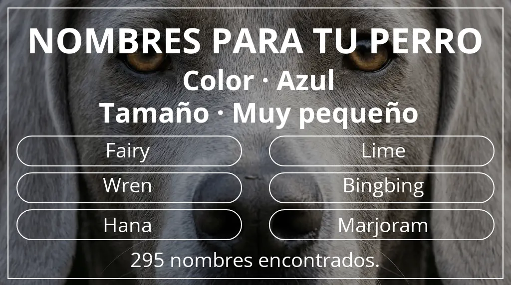 Nombres para perro basados en color azul y tamaño muy pequeño