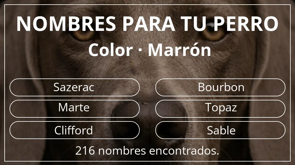 Nombres para perro inspirados en color marrón