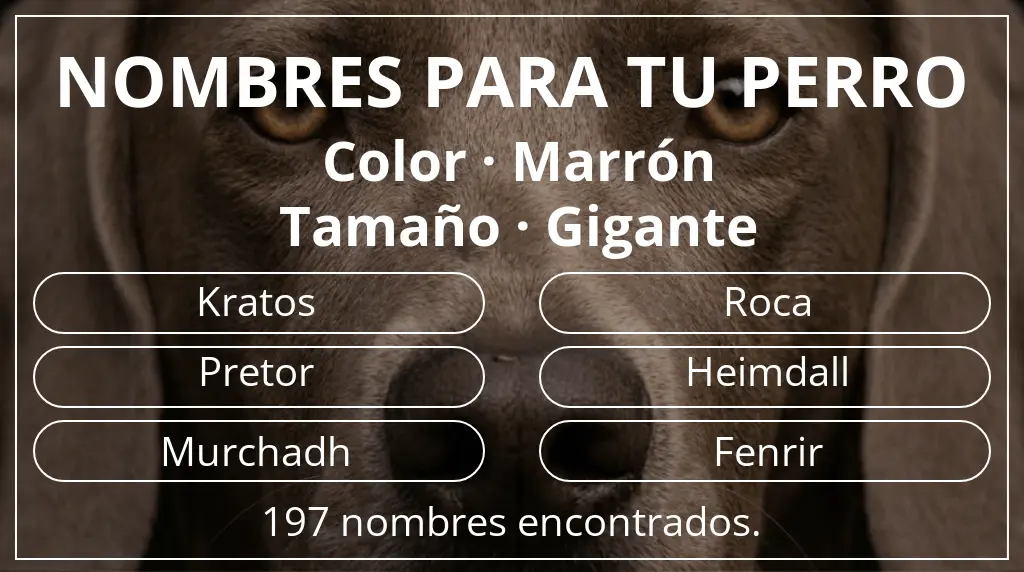 Nombres para perro basados en color marrón y tamaño gigante