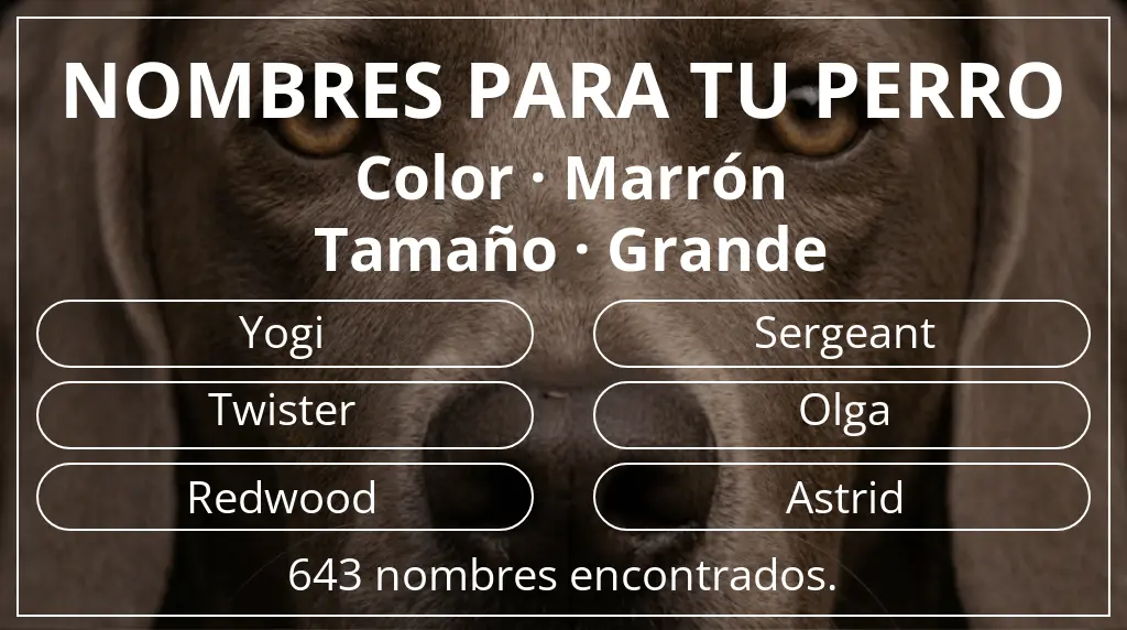 Nombres de perro inspirados en color marrón y tamaño grande