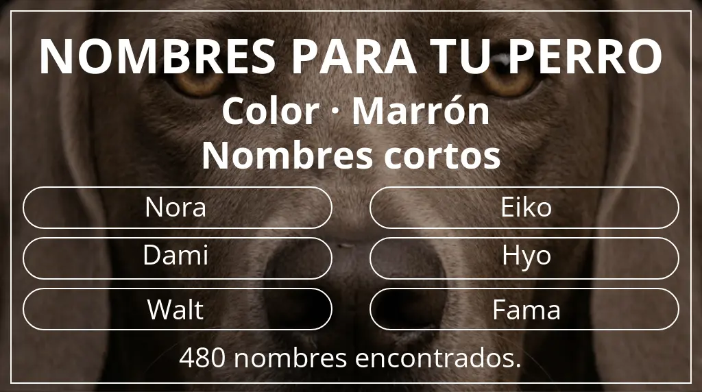 Nombres de perro inspirados en color marrón y longitud del nombre corto (2-4)