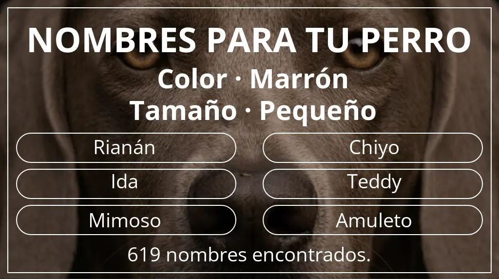 Nombres para perro basados en color marrón y tamaño pequeño