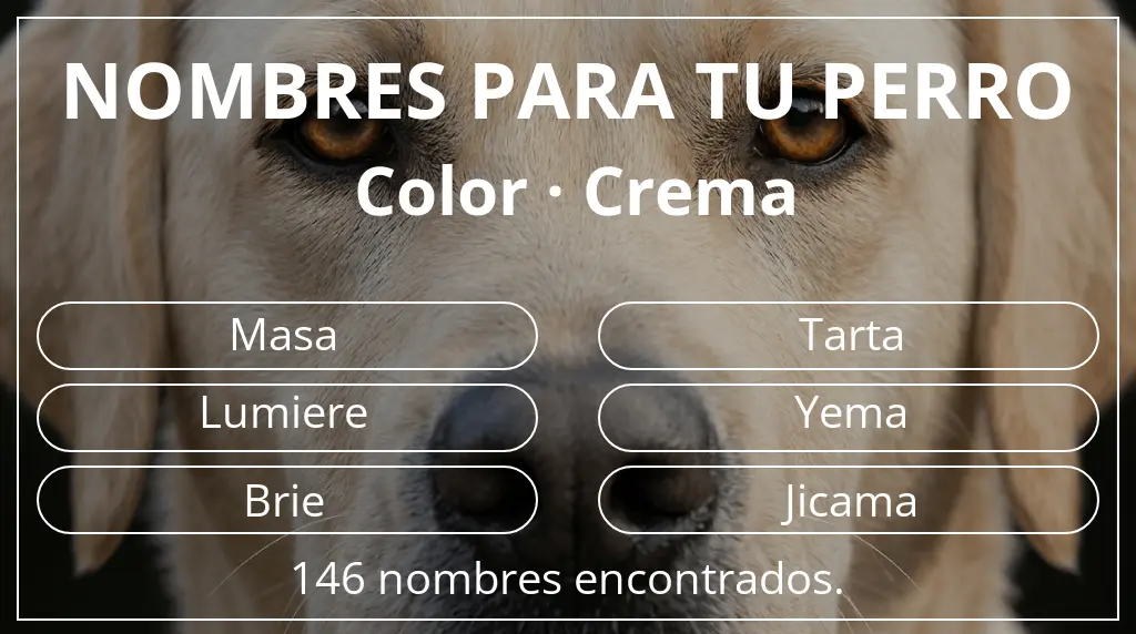 Nombres de perro inspirados en color crema
