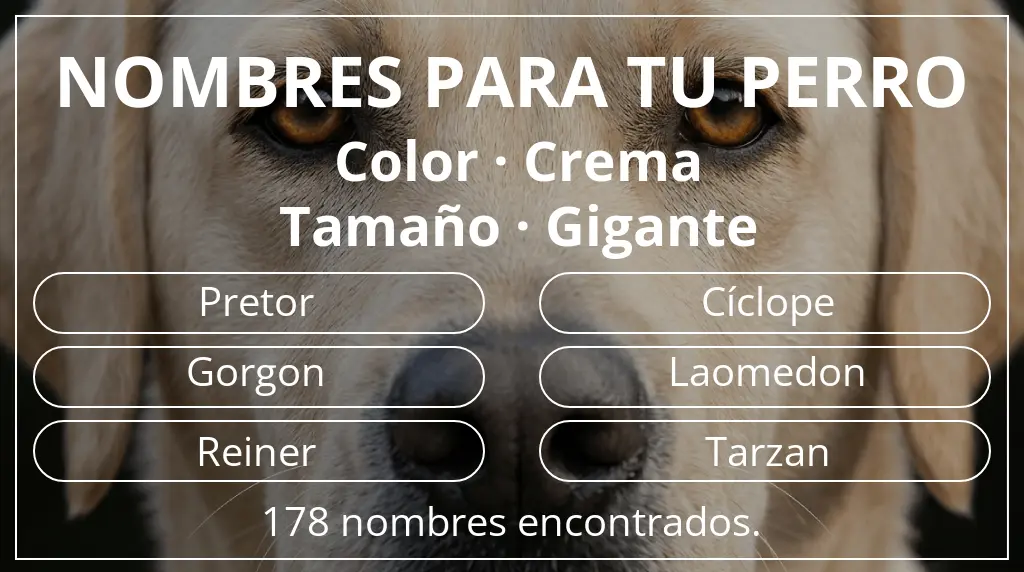 Nombres de perro basados en color crema y tamaño gigante