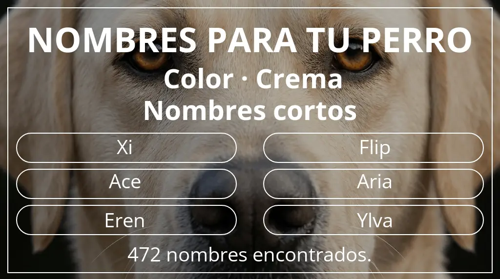 Nombres para perro inspirados en color crema y longitud del nombre corto (2-4)
