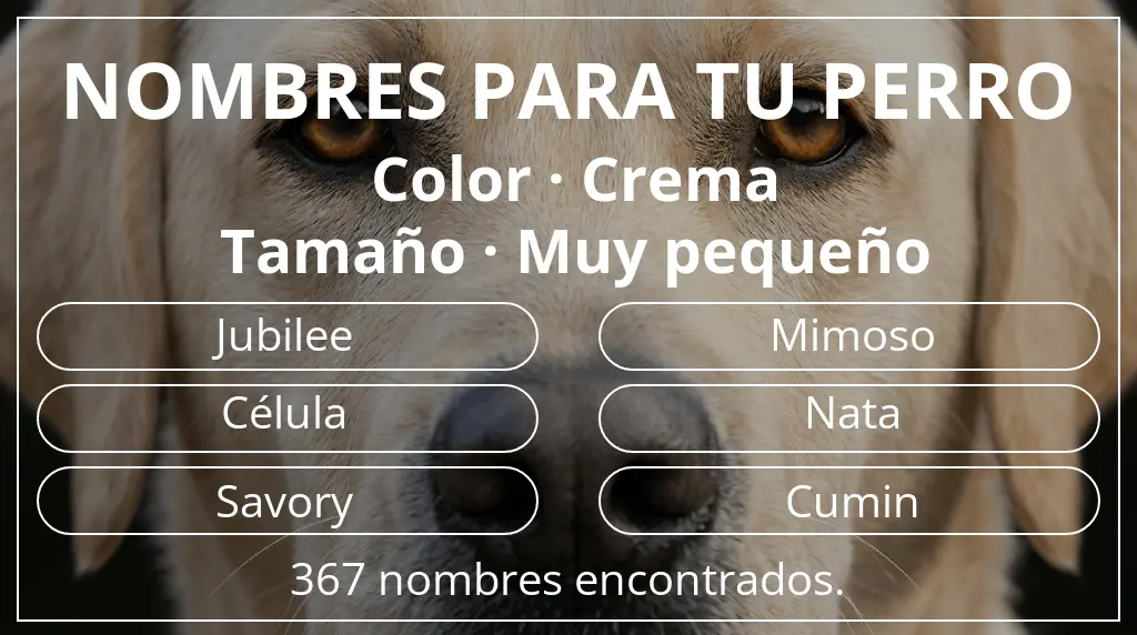 Nombres de perro inspirados en color crema y tamaño muy pequeño