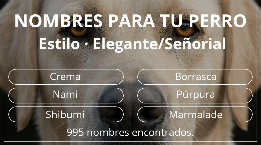 Nombres de perro inspirados en estilo elegante/señorial