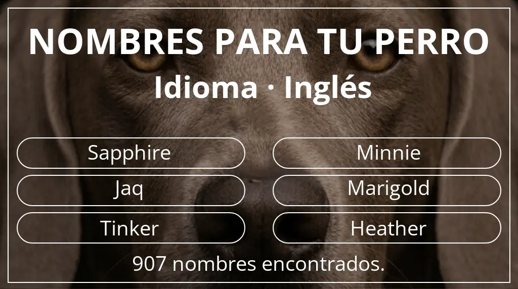 Nombres para perro basados en idioma inglés