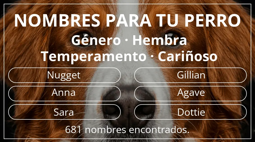 Nombres de perro inspirados en género hembra y temperamento cariñoso