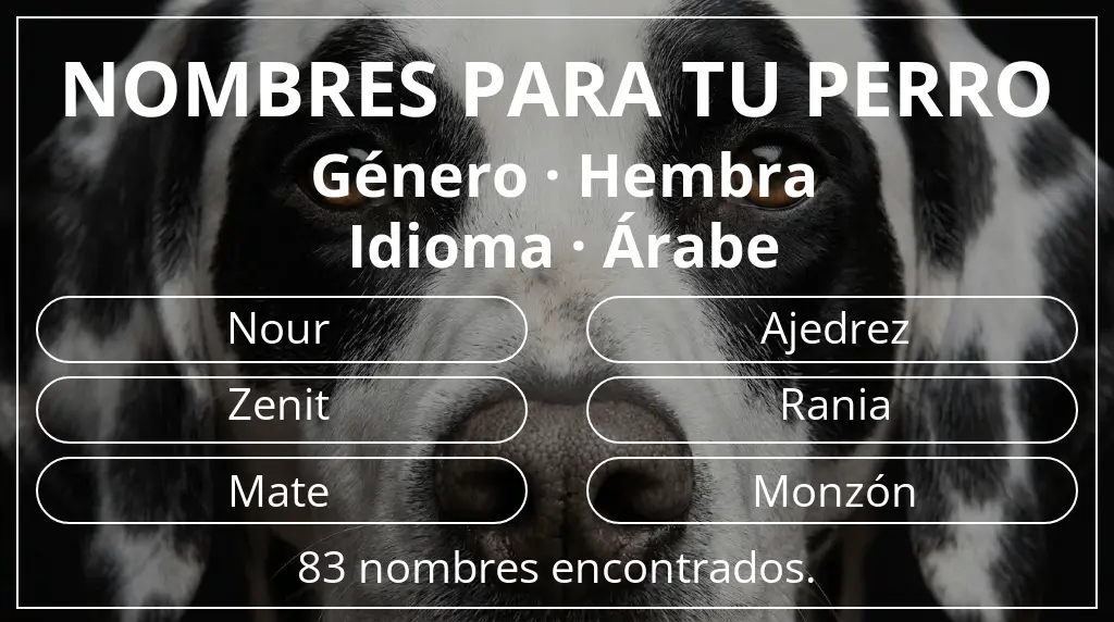 Nombres de perro inspirados en género hembra y idioma árabe
