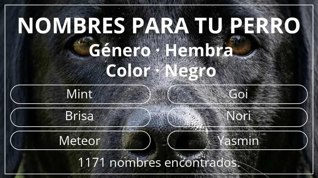 Nombres para perro basados en género hembra y color negro
