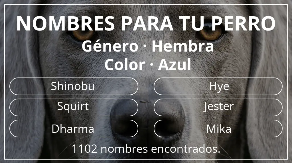 Nombres de perro inspirados en género hembra y color azul