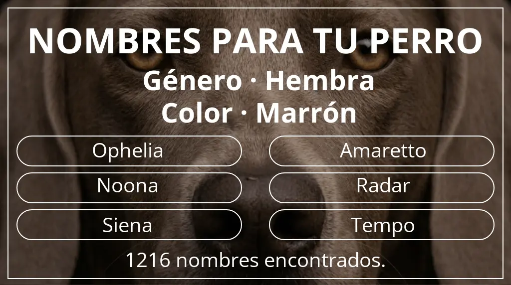 Nombres para perro inspirados en género hembra y color marrón