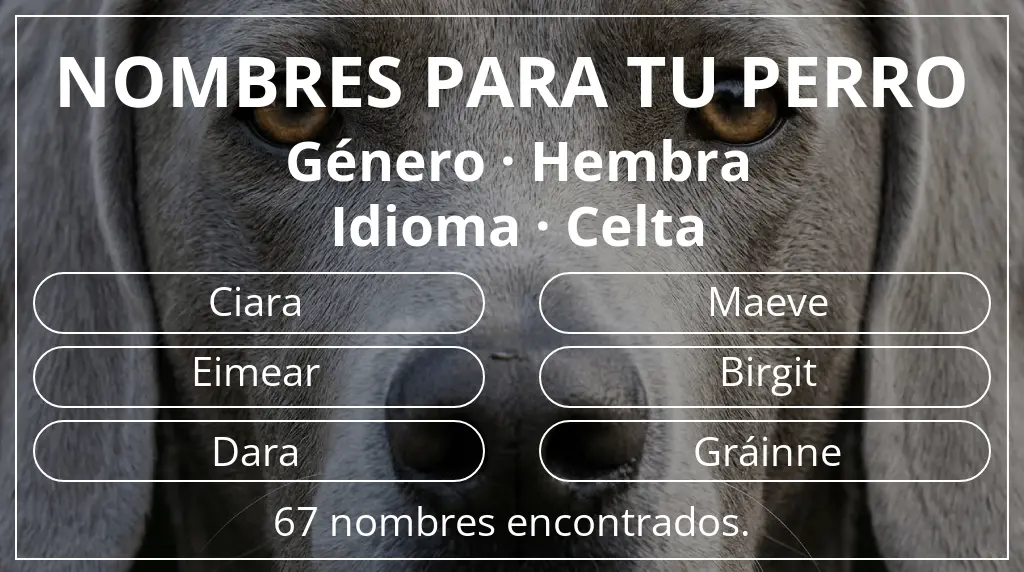 Nombres para perro basados en género hembra y idioma celta