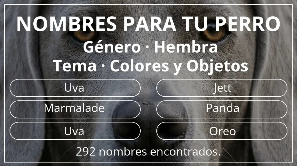 Nombres de perro basados en género hembra y tema colores y objetos