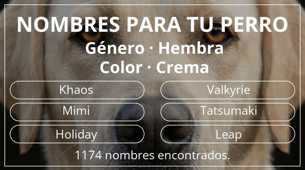 Nombres para perro basados en género hembra y color crema