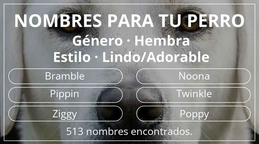 Nombres de perro inspirados en género hembra y estilo lindo/adorable