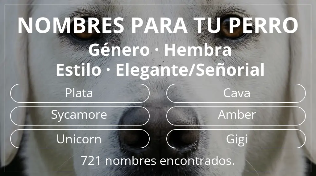 Nombres de perro inspirados en género hembra y estilo elegante/señorial