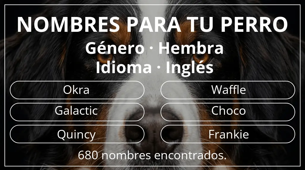 Nombres de perro inspirados en género hembra y idioma inglés