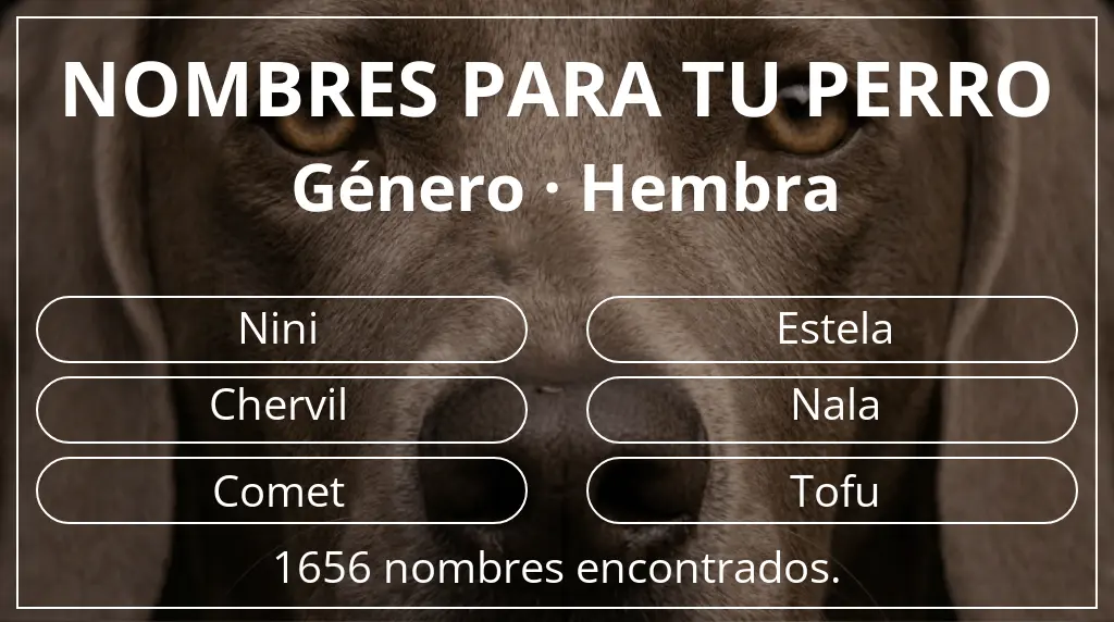 Nombres de perro basados en género hembra