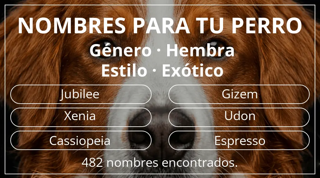 Nombres para perro basados en género hembra y estilo exótico