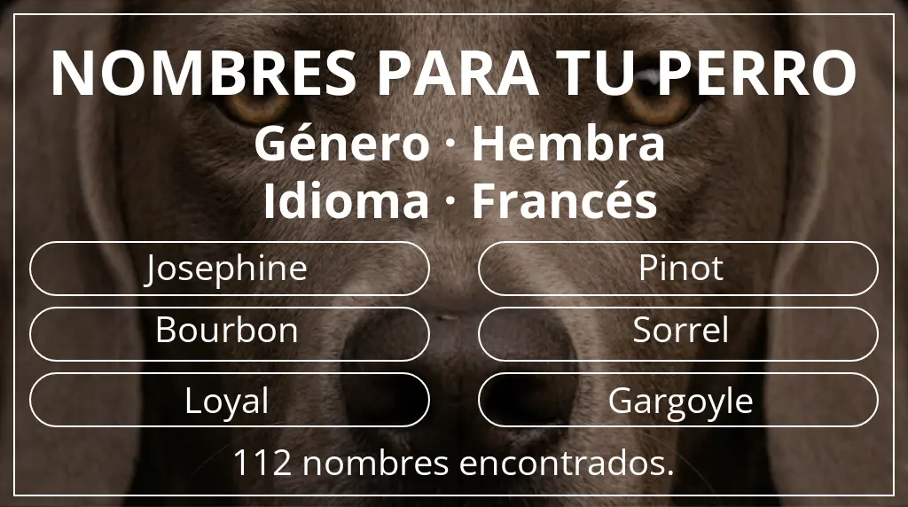 Nombres de perro basados en género hembra y idioma francés