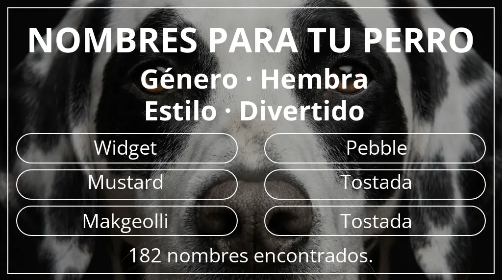 Nombres para perro inspirados en género hembra y estilo divertido