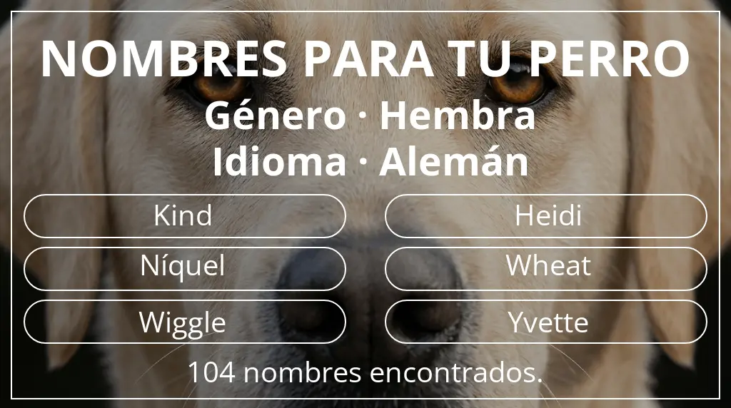 Nombres para perro inspirados en género hembra y idioma alemán
