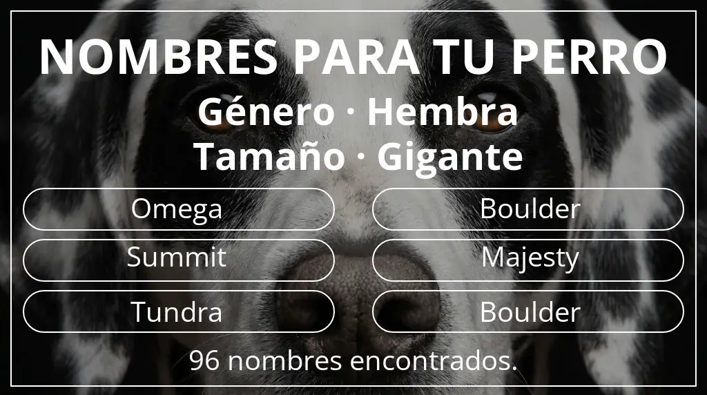 Nombres para perro inspirados en género hembra y tamaño gigante
