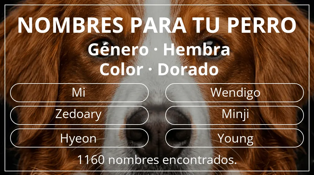 Nombres para perro inspirados en género hembra y color dorado