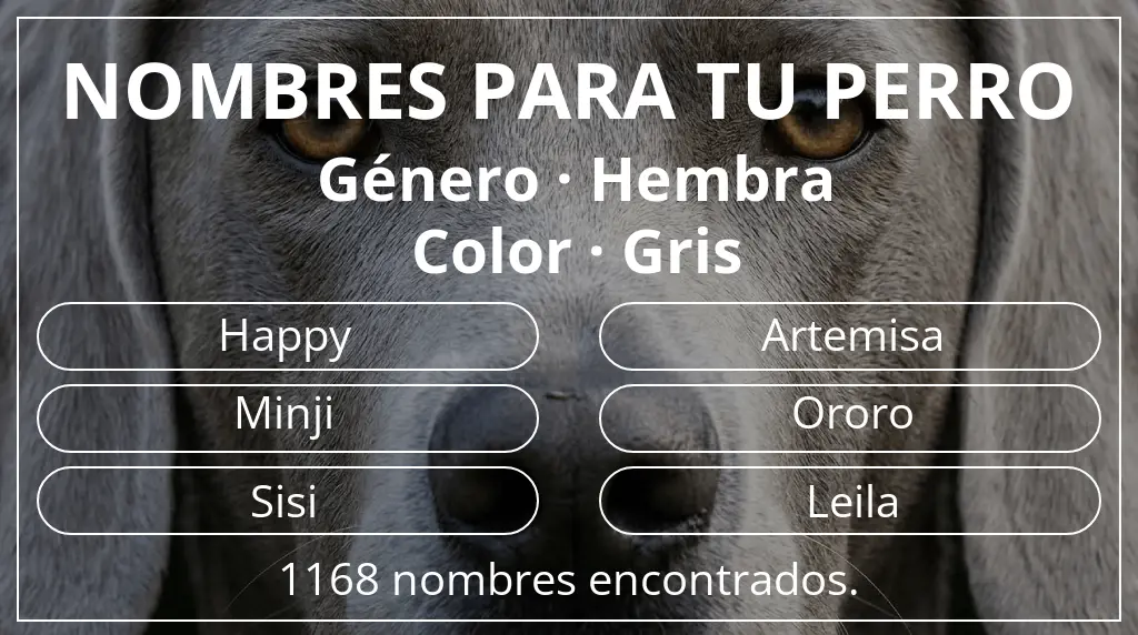 Nombres para perro inspirados en género hembra y color gris