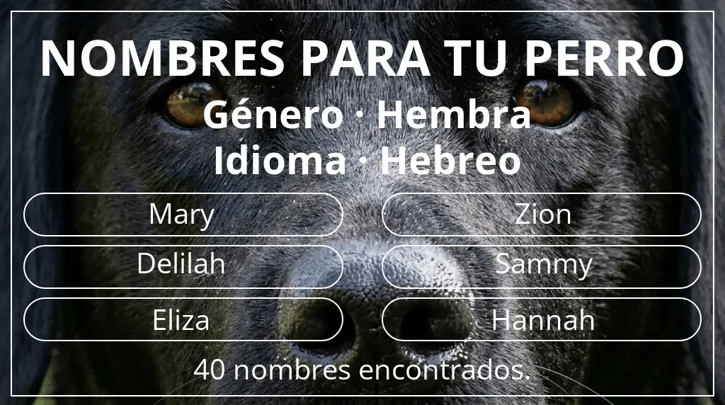 Nombres de perro basados en género hembra y idioma hebreo