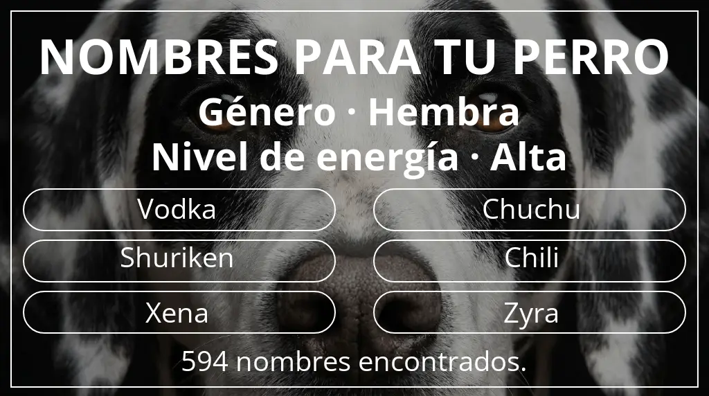 Nombres de perro basados en género hembra y nivel de energía alta