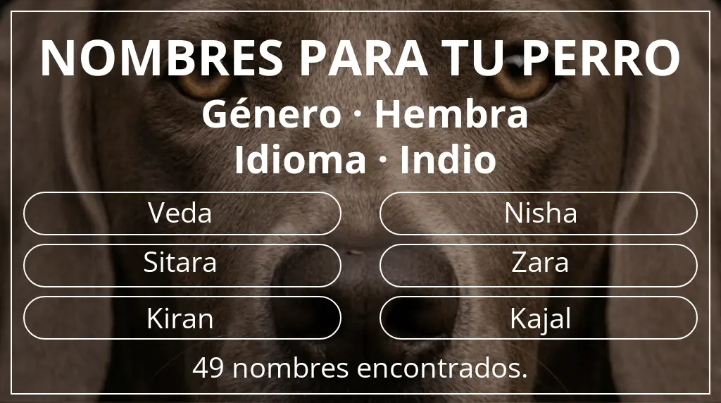 Nombres para perro basados en género hembra y idioma indio